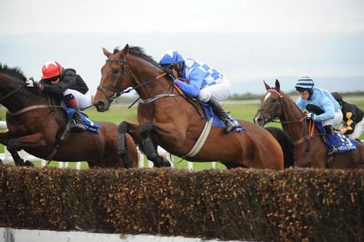 Lucky Wish jumping to win under Barry Geraghty