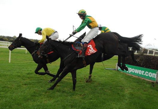 Keys Pride (nearside) jumps the final fence just behind leader Newmill