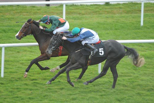 Packsapunch (nearside) zooms up the Galway hill to pass Hampshire 