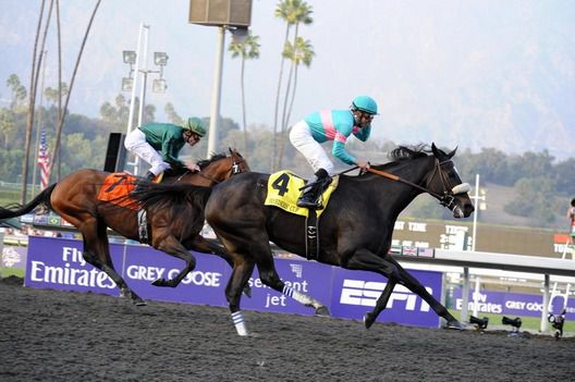 Mike Smith and Zenyatta seen winning the 2009 Breeders' Cup Classic 