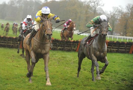 Gallant Light (left) and subsequent faller Taking Stock