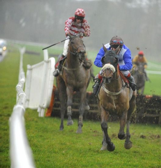 Grange Alainn (red and white) recovers from a mistake  at the last to peg back The Flying Dustman