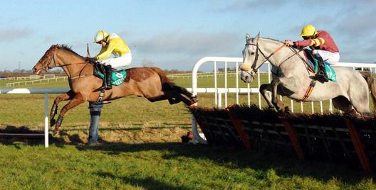 Chicago Grey jumps the last in 2nd but manages to peg back Mourad to win the feature at Thurles.