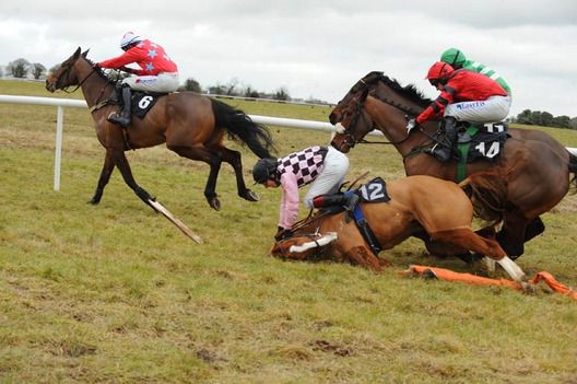 Paddy O Dee races away from the last hurdle as The Recovery crashes out