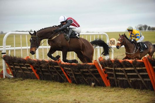 Glenview Leader and Ruby Walsh clear the last 