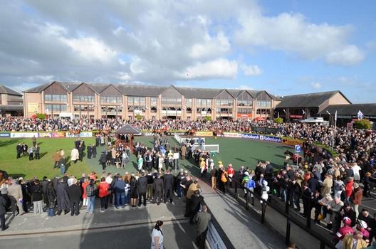 The parade ring at Punchestown