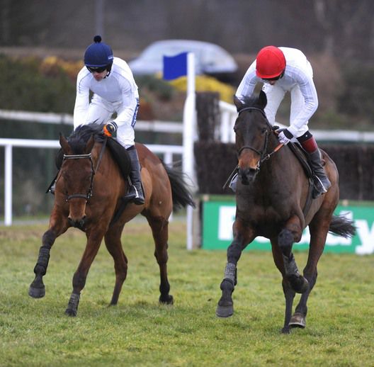 Horses schooling after racing at Leopardstown