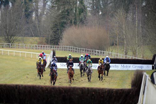 Racing down the straight at Gowran Park