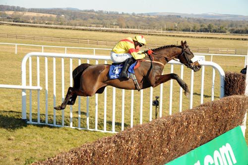 Zaarito and Davy Condon jumping the last 