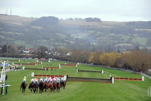 Cheltenham Action