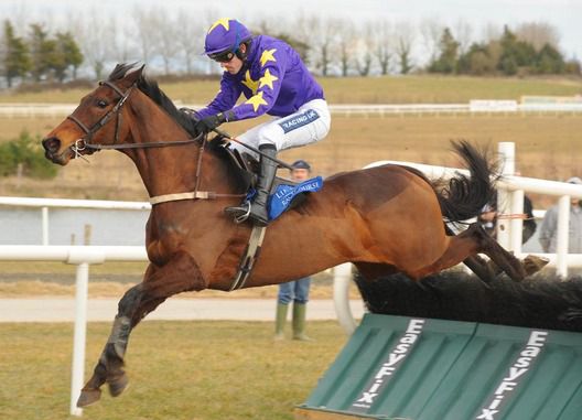 Morning Supreme and Ruby Walsh fluff their lines over the final flight at Limerick