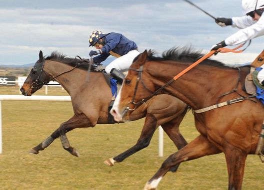 Clarkey (Alan Crowe) races away from Four Chimneys at Limerick