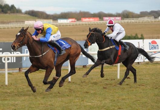 Acey and Robbie McNamara easily beat Minella Class at Limerick