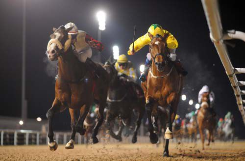 Jigalo (left) takes the spoils in the last at Dundalk.