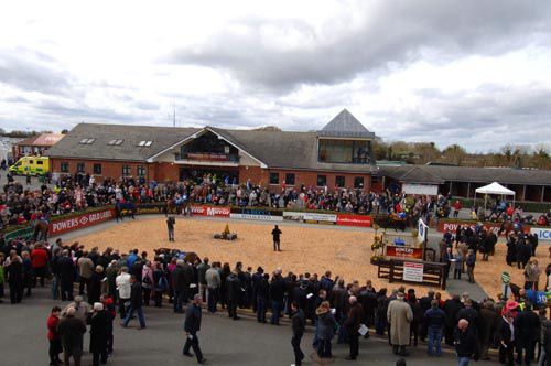 The parade ring at Fairyhouse