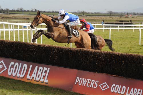 Bluesea Cracker and Andrew McNamara clear the last to take the Irish Grand National