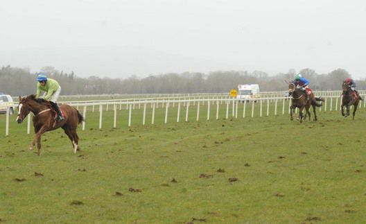 My Boy Paddy comes home clear of his rivals.