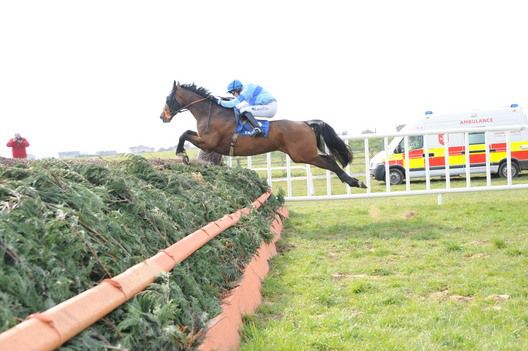 Bringbackthebiff throws a mighty leap at the final fence