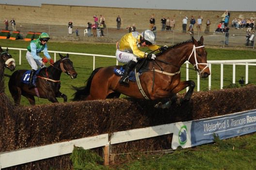 Golden Kite leads over the last from Bold Fencer