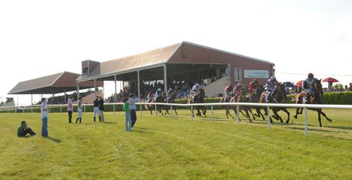 Wexford Racecourse