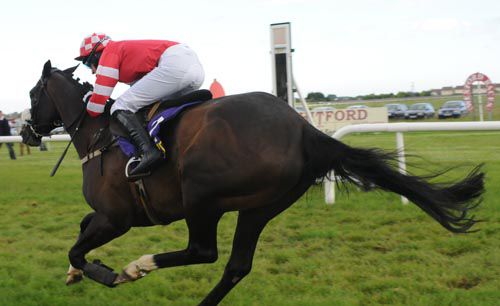 Otterstown Lady and Shane Hassett come in   front for trainer Cathy O'Leary