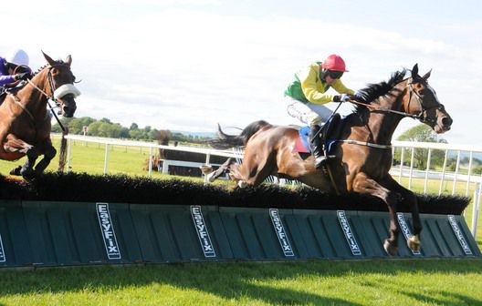 Queiros Bleu and Andrew Lynch jump the final flight ahead of runner-up Russian War at Tipperary