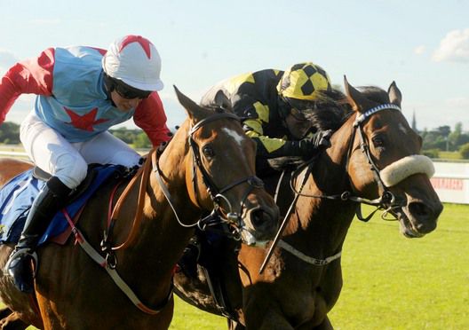 Dont Be Bitin and Micheal Fogarty (nearside) beat Bobs Pride at Tipperary