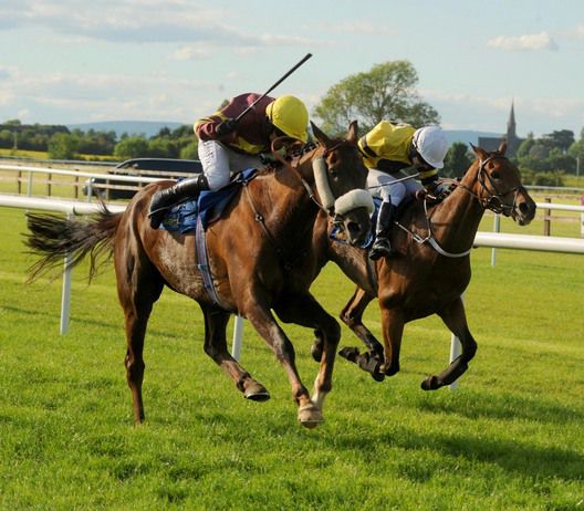 Hoopy and Davy Condon (nearside) get the better of Ballychroy at Tipperary