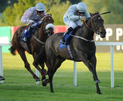 Rose Hip and Chris Hayes winning the Nijinksy Stakes