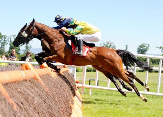 Bacher Boy and Paul Carberry jump the last with Sylvan Approach before going on to win for trainer Gordon Elliott