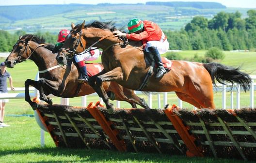 Tryptronic and Shay Barry RIGHT join Roseska at the final flight before winning for trainer Michael Moran