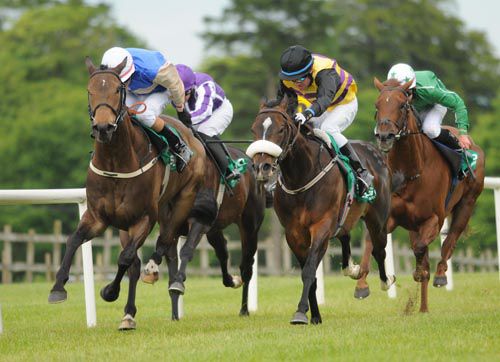 Miss Faustina (yellow/black) comes to beat Miss Eze