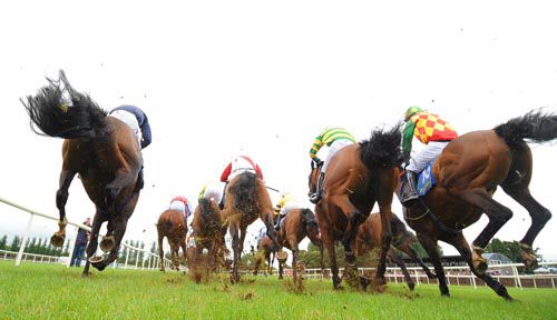 Runners pass in front of the stands at Tipperary - winner Impersonator is on the right