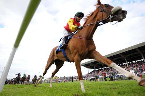 Yes Missus & Danny Grant leave their rivals in the shade