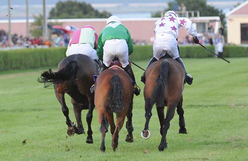 From left Old Hall, Artiste Bay & Hatton's Wood fight out the finish