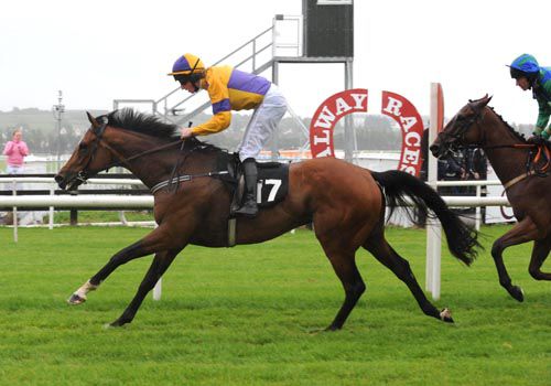 Admiral Barry and Mikey Fogarty win the Carlton QR Handicap at Galway today