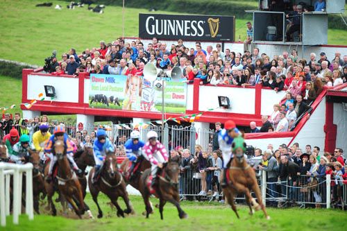 Pony Racing at Dingle