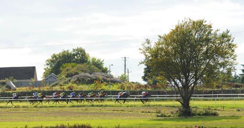 Wexford racecourse