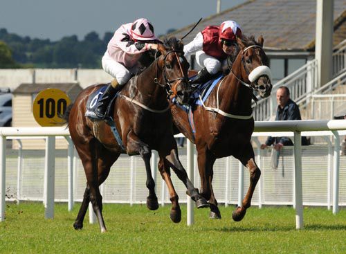 Pathfork (nearside) beats Casamento in the National Stakes