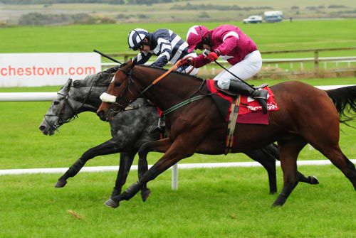 Inspector Clouseau (grey) edges out Start Me Up at Punchestown