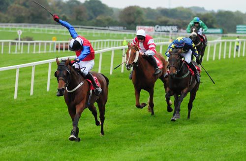 Skeheenarinky is driven out by Ciaran Fennessy to beat Bonoman & Chasers   Chance