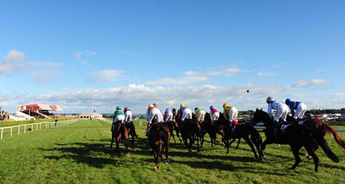 Runners at Wexford today