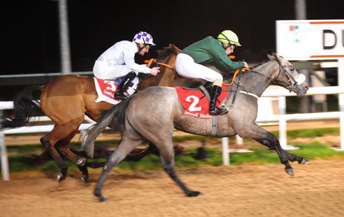 Madeira Man (grey) holds off Vastitas 