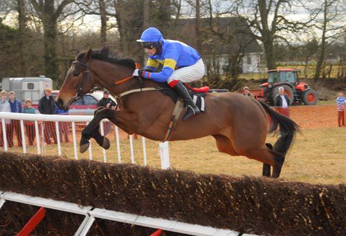 Invictus pictured winning his point-to-point at Horse And Jockey in March of 2010 under Roger Quinlan