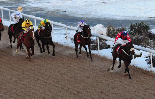 Rambling Dancer leads them home under Shane Gorey 