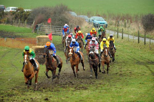 Point To Point action from a meeting at Tyrella 