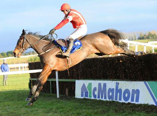 Gentle Alice and Mick Darcy were stylish winners at Limerick