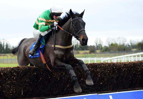 Bob Lingo and Mark Walsh jump the last at Fairyhouse