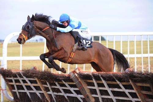 Ruler Of All & Andrew McNamara have their race won at Thurles