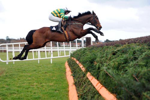 Kempes and David Casey clear the final fence in the 2011 Hennessy Gold Cup